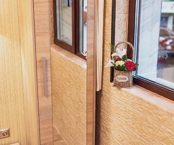 Deluxe Center Apartment